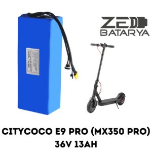 Citycoco E9 Pro