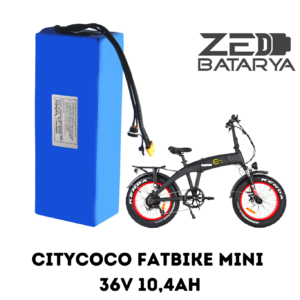 Citycoco FatBike Mini