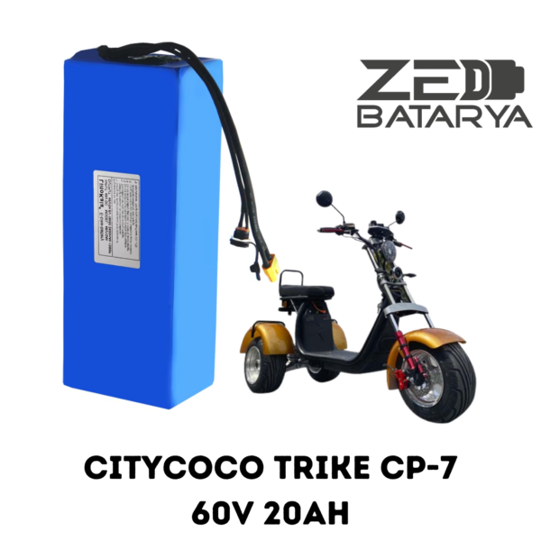 Citycoco Trike CP-7 Servis